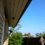 Testfoto Sony Xperia Z3