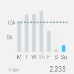 Android Wear Google Fit Statistik