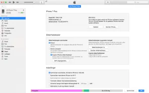 iTunes sikkerhedskopi