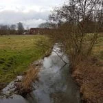 Testfoto fra Samsung Galaxy S7 Edge (Foto: MereMobil.dk)