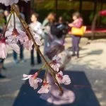 Billeder taget på foto-tur i Japan med Xperia X (early-production sample) (Foto: MereMobil.dk)