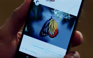 Allo fra Google (Foto: Google)