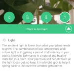 Parrot Pot (Foto: MereMobil.dk)