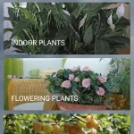 Parrot Pot (Foto: MereMobil.dk)