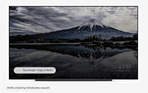 Google Assistant på Android TV (Foto: Google)