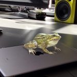 AR Augmented Reality