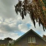 Foto taget med Motorola One