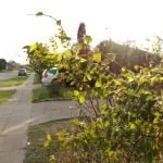 Foto taget med Motorola One