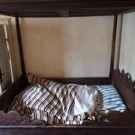 Foto fra Huawei Mate 20 Pro