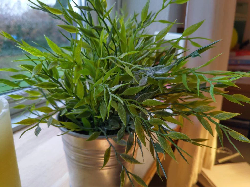 Taget med Nokia 8.1