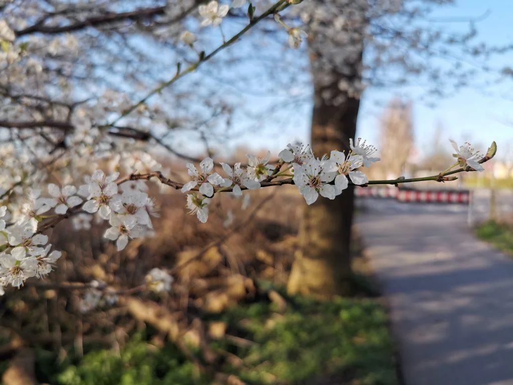 Taget med Huawei P30 Pro