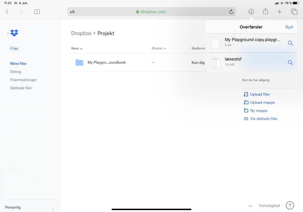 Download I Safari på iPadOS