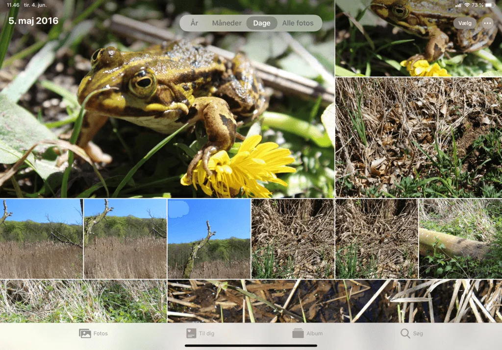 Den nye Foto-app iPadOS