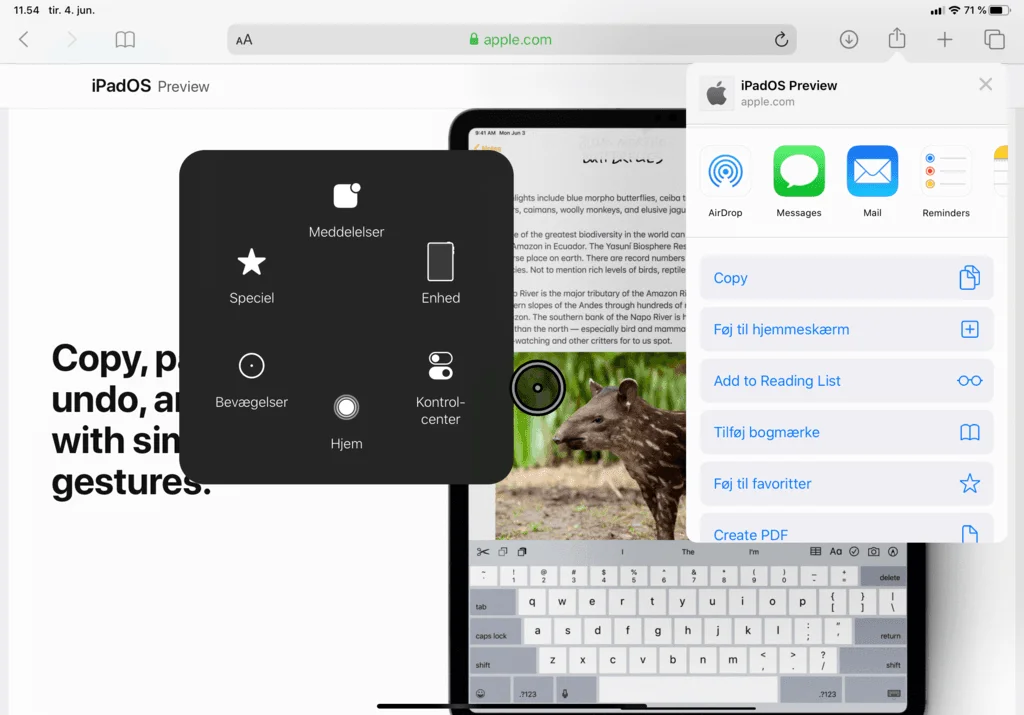 Mus på iPad med iPadOS