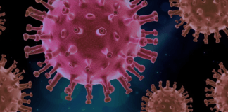 Udbruddet af coronavirus har betydet, at mange lande udsender egne coronaapps. Danmark er ingen undtagelse. Appen ventes nu at blive lanceret midt i juni (Foto: Piro4D / Pixabay.com)