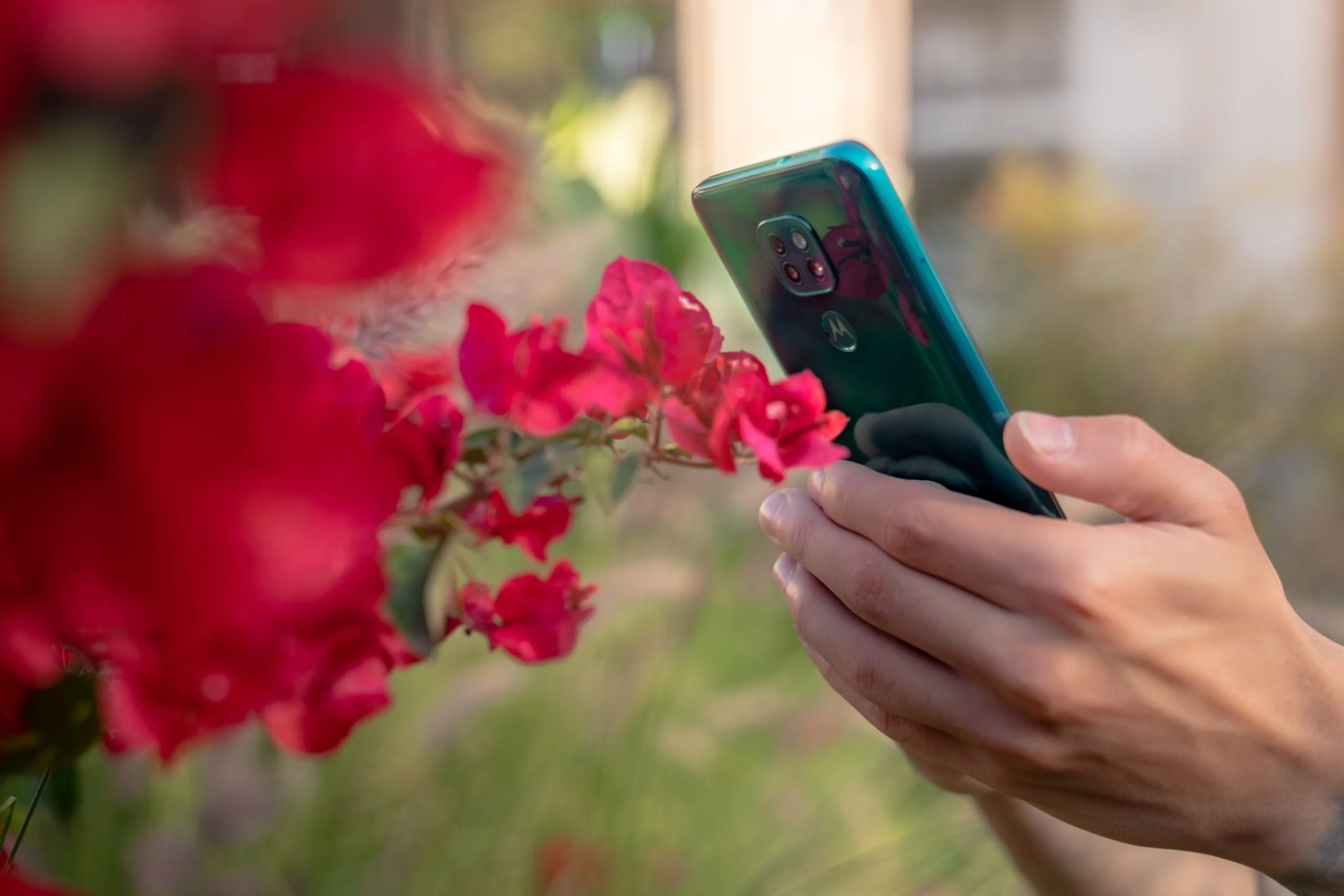 Motorola Moto G9 Play (Foto: Motorola)
