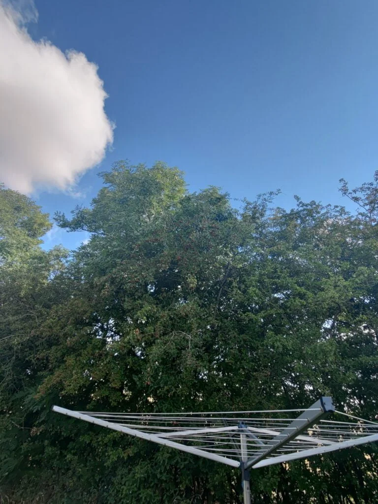 Billede taget med ASUS Zenfone 7 Pro (Foto: MereMobil)