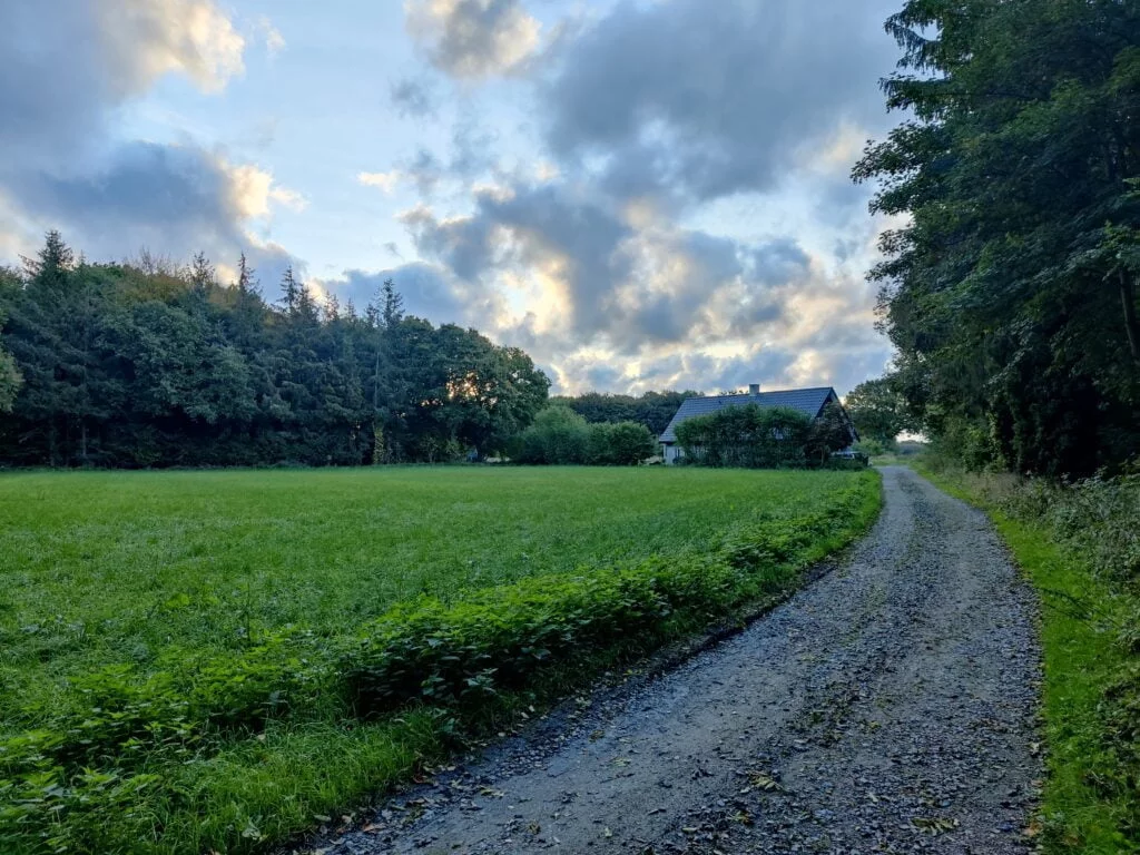 Taget med OnePlus 8T