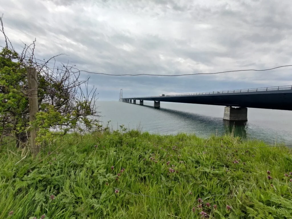 Ultra-vidvinkel på ZenFone 8 (Foto: MereMobil.dk)
