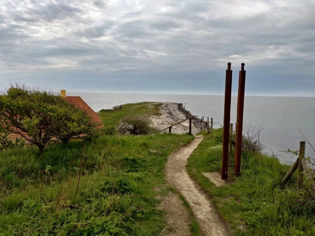 Foto med ZenFone 8 (Foto: MereMobil.dk)
