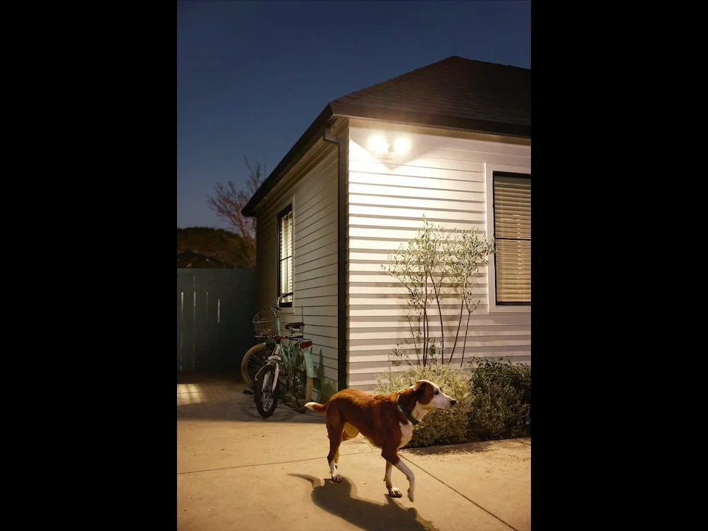 Netcam med floodlight