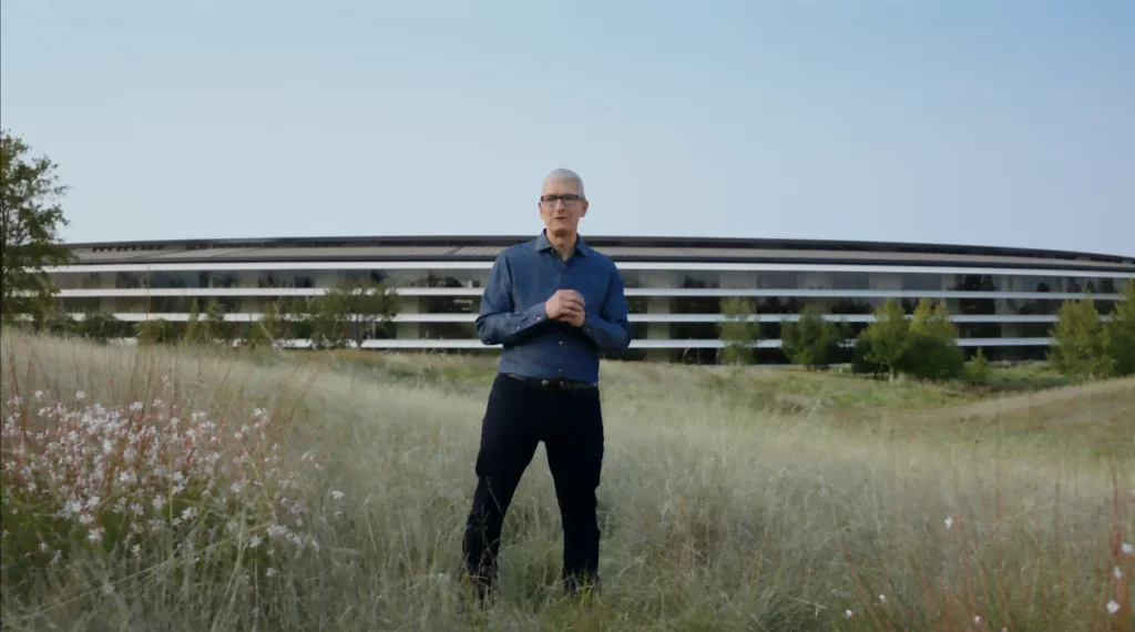 Tim Cook, SEO, Apple