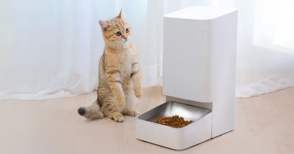 Automatisk foderautomat til hunde og katte (Foto: Xiaomi)