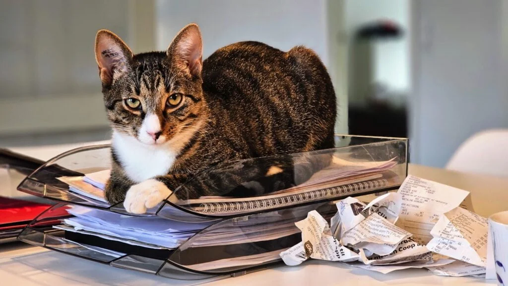 Taget med Samsung Galaxy S23 Ultra