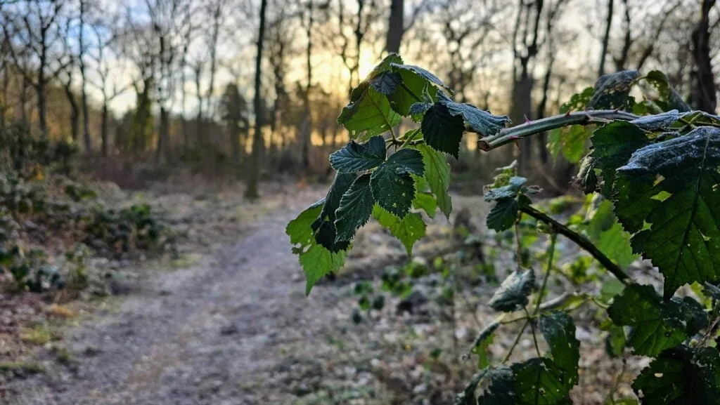 Taget med Samsung Galaxy S23 Ultra