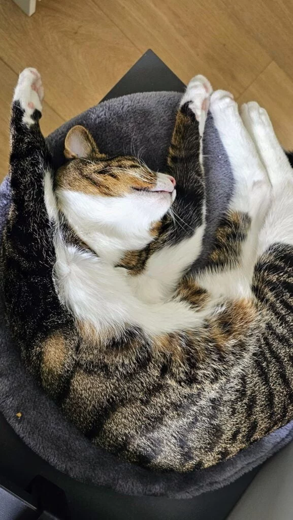 Taget med Samsung Galaxy S23 Ultra