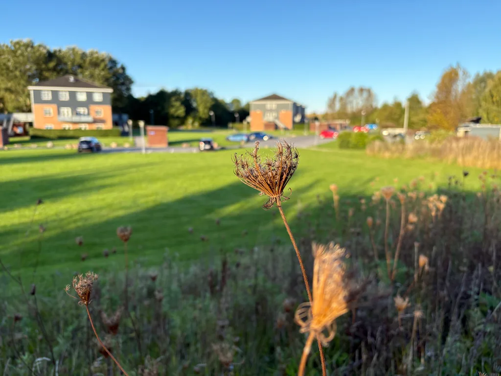 Billeder taget med iPhone 16 Plus (Foto: MereMobil.dk)