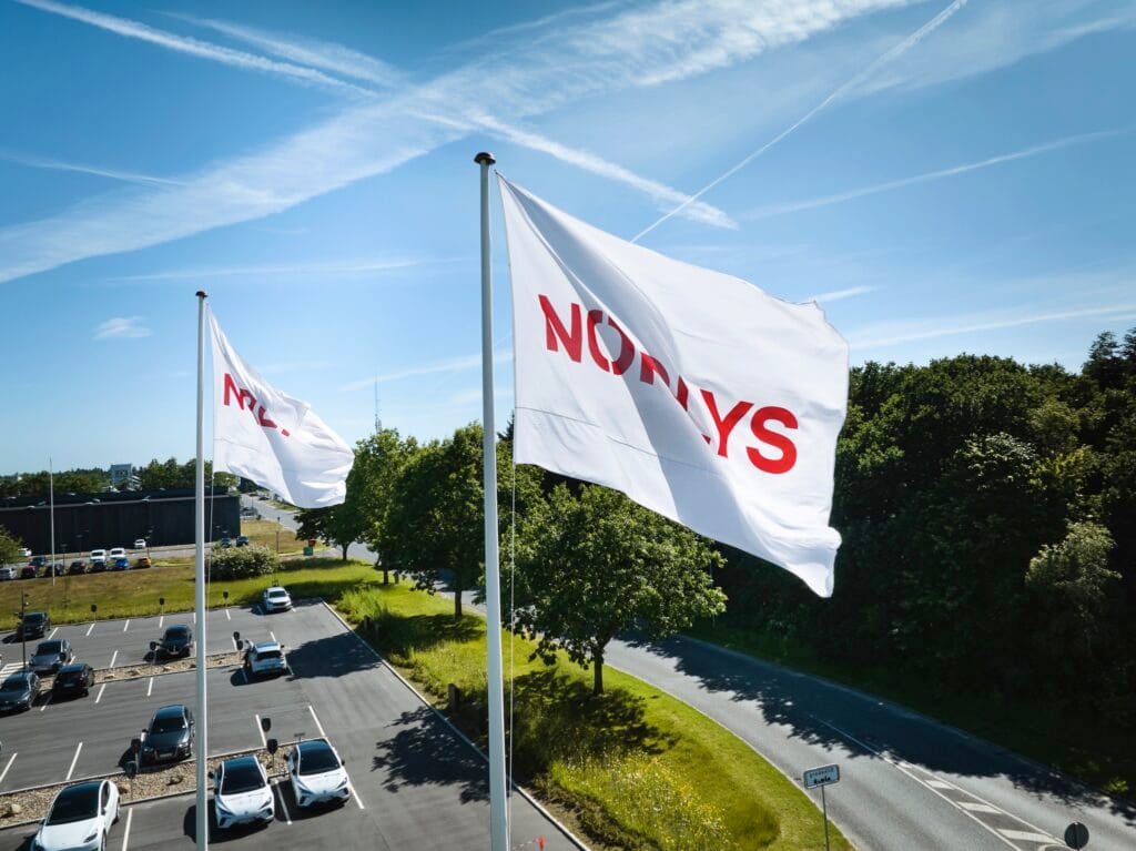 Norlys flag