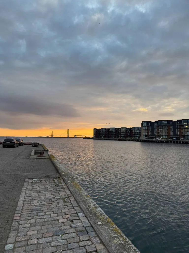 iPhone 16 Pro Max, foto (Foto: MereMobil.dk)