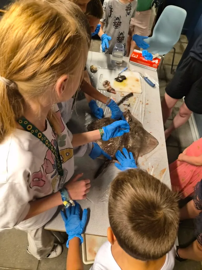 Taget med Samsung Galaxy Z Flip7