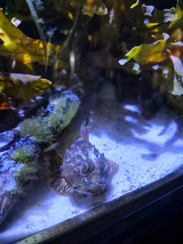 Taget med Samsung Galaxy Z Flip7