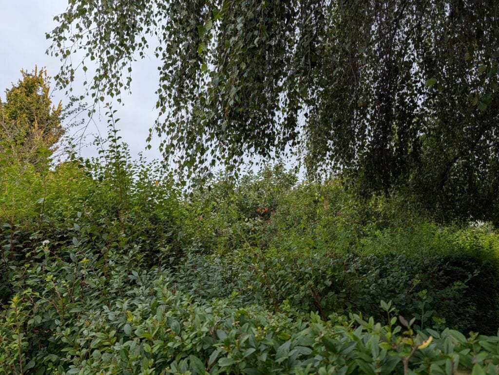 Pixel 10 Pro (taget med)