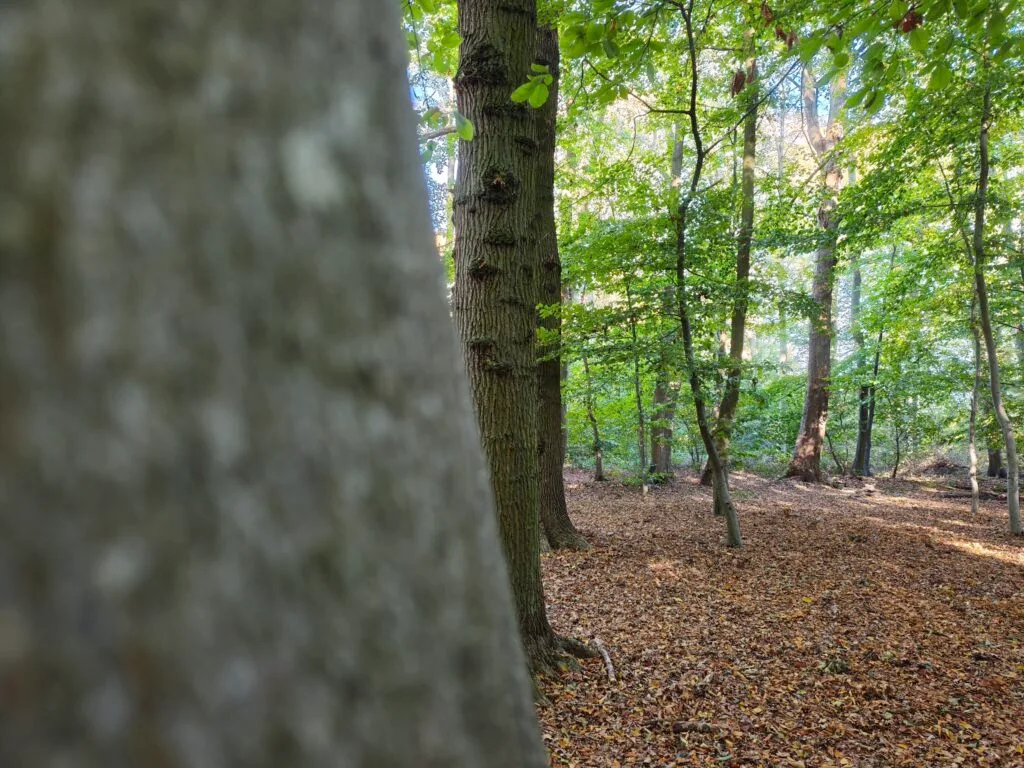 Taget med Xiaomi 15T Pro