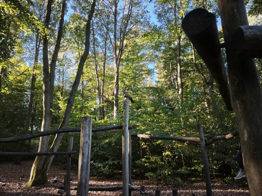 Taget med Xiaomi 15T Pro