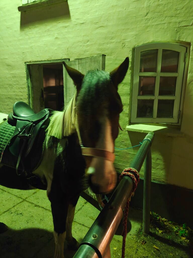 Taget med OnePlus 15