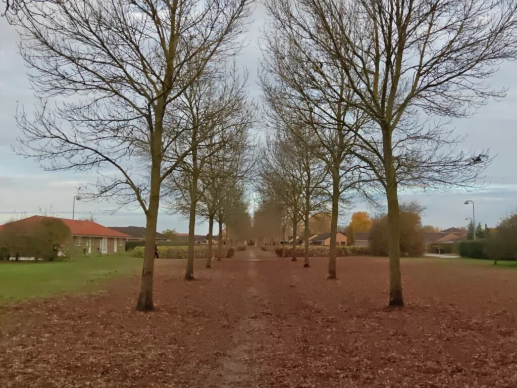 Taget med OnePlus 15