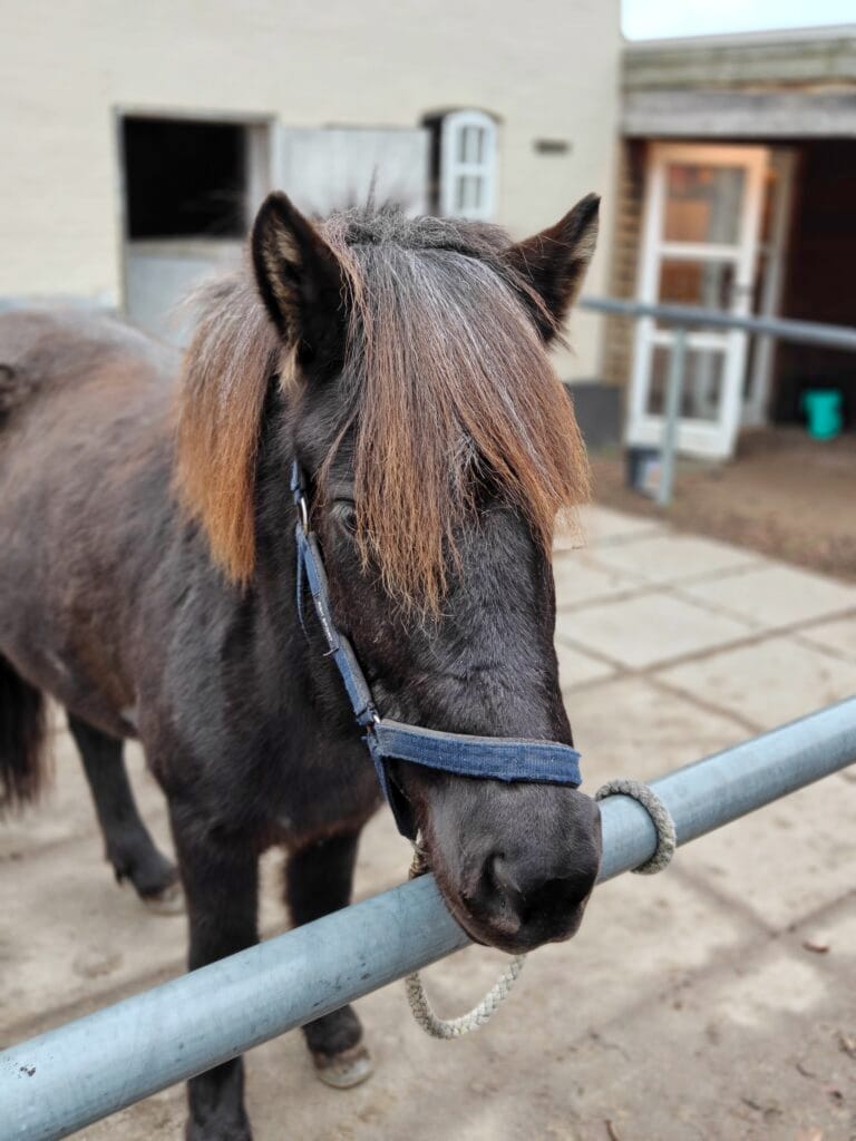 Taget med OnePlus 15