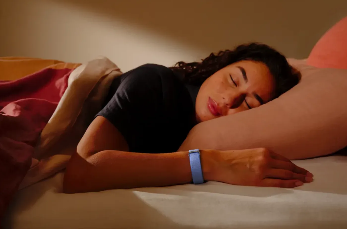 Fitbit Air (Foto: Google)