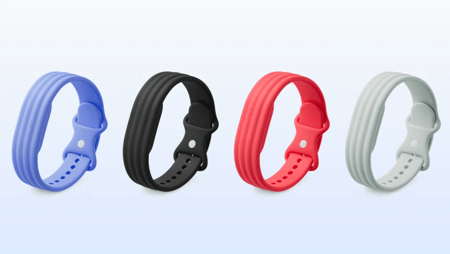 Fitbit Air (Foto: Google)
