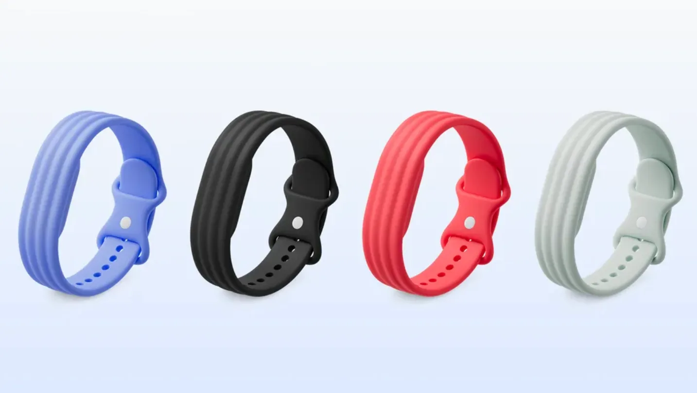 Fitbit Air (Foto: Google)