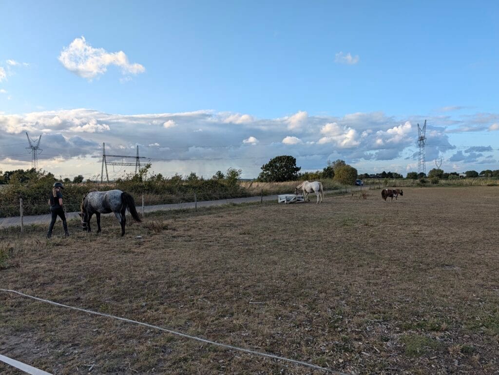Taget med Pixel 11 Pro