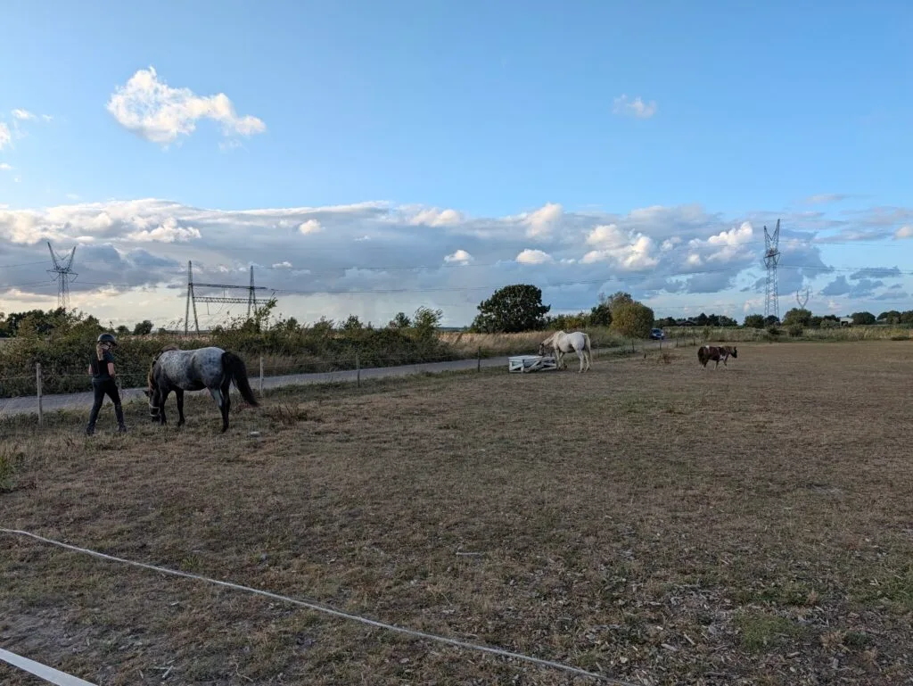Taget med Pixel 11 Pro