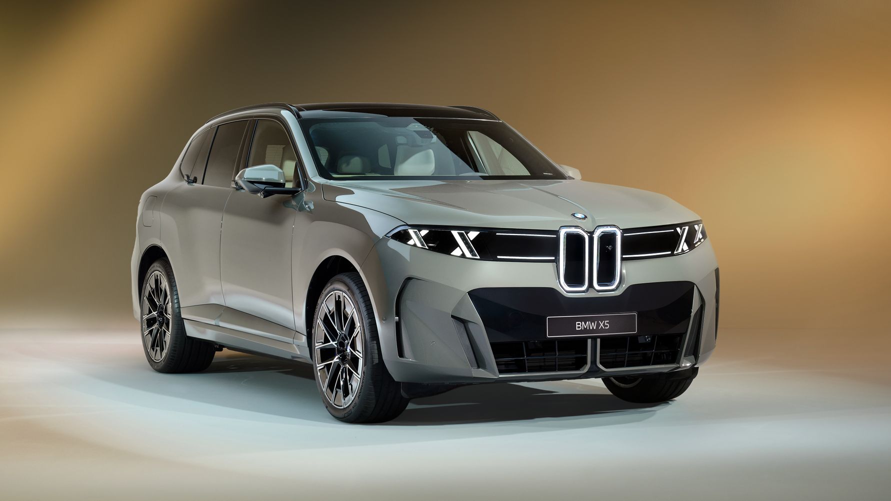 BMW iX5 60 xDrive (Foto: BMW)